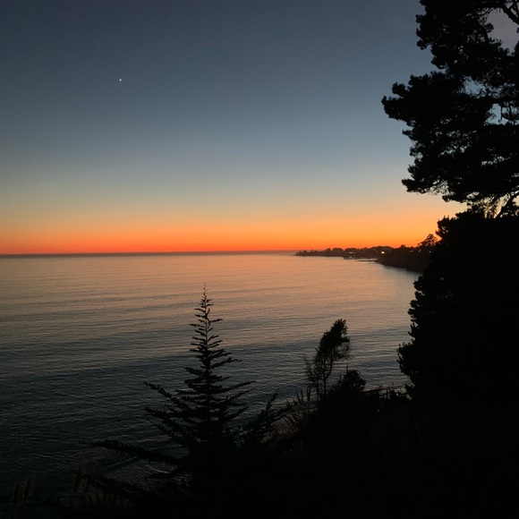 Meet your Posher, Alex - Picture 1 of 1